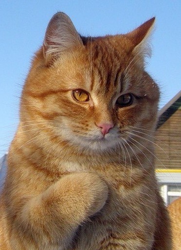 Сергей